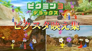 【ピクミン3】映えそうな所で写真を撮ってみた（Pikmin3DX）