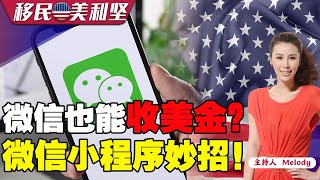 微信可以收美金？怎么使用？怎么收美金？专家支招！《移民美利坚》第94期 2022.03.21