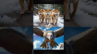 Vulture vs 10 Strongest Dogs – Shiba Inu, Samoyed, Pug and More!