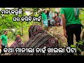 କଥା ମାନୀଲା ନାହଁ ଖାଇଲା ପିଟା, new odia vlog #katha manila nhi khaela pita#odia viral video #new  #