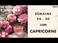 CAPRICORNE SEMAINE DU 24 AU 30 JUIN 2024  JOUR PAR JOUR