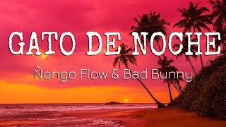 Ñengo Flow ft Bad Bunny – Gato de Noche (Letra/Lyrics)