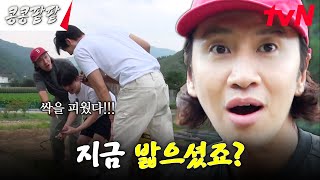 얼굴에 뱉은 수박 씨를 땅에 심으면?｜새싹에 한껏 예민해진 초보 농사꾼들 ㅋㅋㅋ #콩콩팥팥 #콩심은데콩나고팥심은데팥난다 EP.2 | tvN 231020 방송