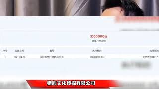 郑恺公司被强制执行3300万，郑恺为最大股东受益人，究竟怎么回事