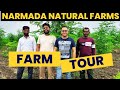 Farm tour of Narmada Natural Farms | Natural Farming