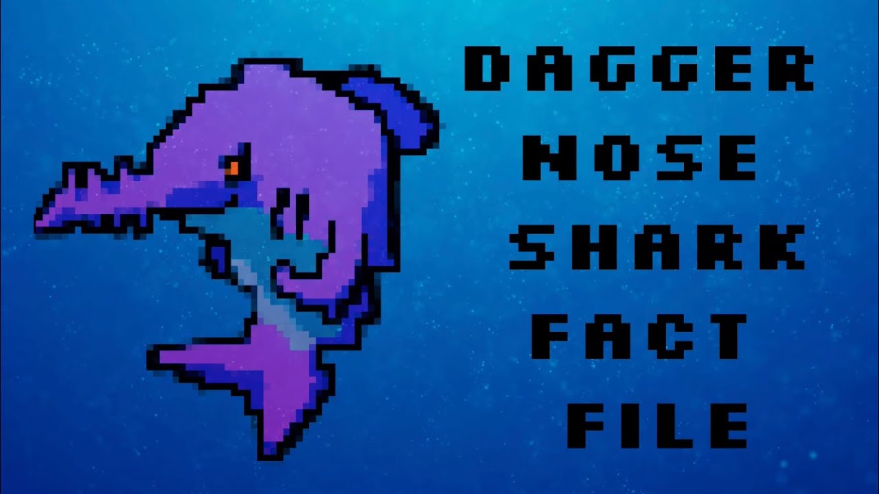 Daggernose Shark Fact File Youtube