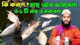 মাছ ভাসার কারণ ও করণীয় | কি করলে আর মাছ ভাসবে না, Deltacin, উকুঁন ও সাদা দাগ সহ পরজীবি নিয়ন্ত্রন