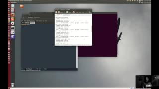HTS Dev Diary: Golang Install & Emacs Configuration