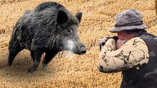 TOP 50 INSANE GIANT MONSTER WILD BOAR SHOTS! #hoghunt #wildboar #wildpig