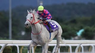 【地方競馬】フェブランシェが重賞初制覇　東京シンデレラマイルを５馬身差快勝