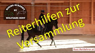 F60: Versammlung beim Reiten! Pferde versammelt Reiten Lernen! Fehler; Übungen; Ausbildung