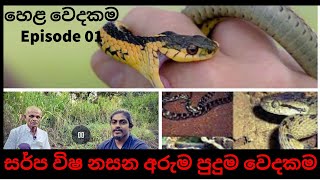 සර්ප විෂ නසන අරුම පුදුම වෙදකම් කරන හෙළ වෙද මහතා | Episode 01 - Bilii talks