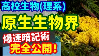 【高校生物 75】系統【原生生物界の分類】を宇宙一わかりやすく