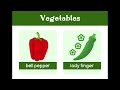 12 vegetables names in english 12 sabzion k nam english mai. vegetables