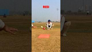 Best WICKET KEEPING drill to improve reflexes!😍🏏 #shorts #cricketcardio #wicketkeeping