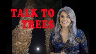 HOW TO TALK WITH TREES (And Understand them!)