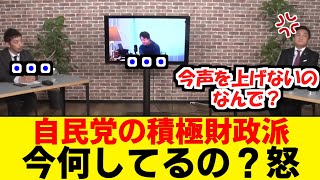 【激怒】自民党内の積極財政派に玉木氏がキレる 【動画あり】