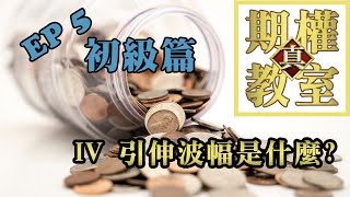 💰真 期權教室💰 EP5 初級篇 IV引伸波幅是什麼? Option Tutorial Beginner Level: What is Implied Volatility?