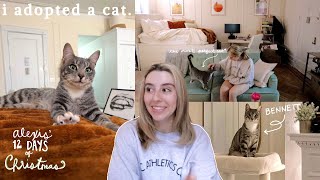 i adopted a cat. (nyc vlog)