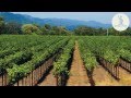 Discover wines from California - VINOA