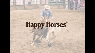 Happy Horses - Introduction