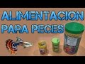 La Alimentacion de mis Peces-Rincon animal