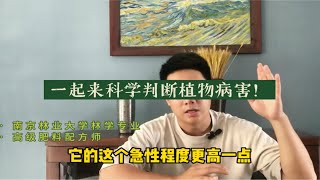 跟植物学专业人员一起学习科学判断植物病害！