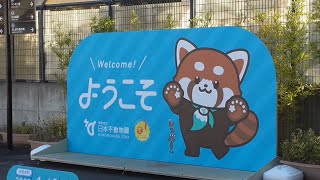 日本平動物園に行ってきました　【静岡県静岡市】