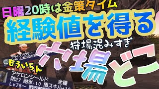 【#FF11】期間限定エミネンス「経験値を得る」金策金策#金策【新規・復帰者向け】