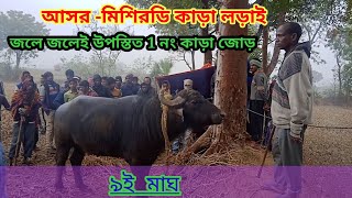 মিশিরডি কাড়া লড়াই ৯ ই মাঘ  misirdih 1 kara larai