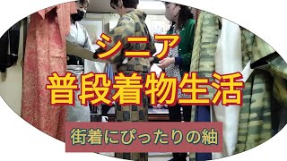 【シニア普段着物👘生活】いつもの古着屋さんへ、いつもの三人組で普段着物を買いに行く。