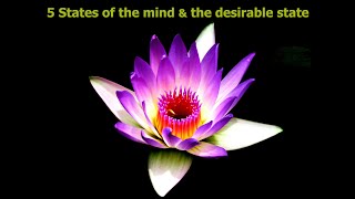 Chitta Bhumi - 5 States of the mind