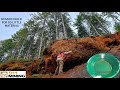 Crushing & Panning Gold From An Oxidized Outcrop!