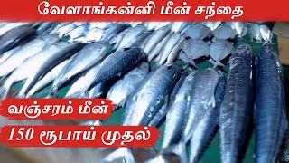 VELANKANNI FISH MARKET | NAGAPATTINAM | TAMIL VLOG | Ave Maria