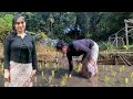 WAH BIKIN GREGET JANDA DESA NENG NELIS TANDUR DI SAWAH