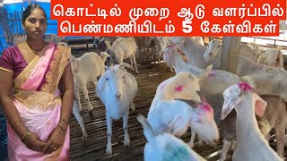 கொட்டில் முறை ஆடு வளர்ப்பில் பெண்மணியிடம் 5 கேள்விகள் | Successful goat farm in Tamilnadu