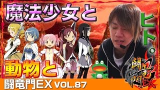 【まどマギ】【ケロット3】浪漫℃ 闘竜門EX vol.87 《メッセ奥戸店》 [BASHtv][パチスロ][スロット]