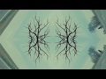 Sungazers - Narrow Lungs (Official Music Video)