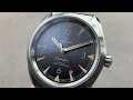 Omega Seamaster Railmaster (220.10.40.20.01.001) Omega Watch Review