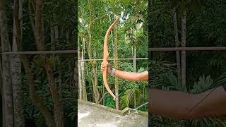 The bamboo short video || #bamboogun #bamboo #shorts #youtubeshorts #shortsvideo #viral
