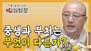 중생과 부처님의 차이점은 뭘까? 대풍스님의 진심법문 - 1회