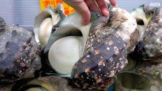 Japanese Street Food: Giant Sea Snail (Yakogai)