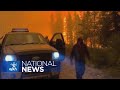 2023 is the worst wildfire season in Canadian history | APTN News