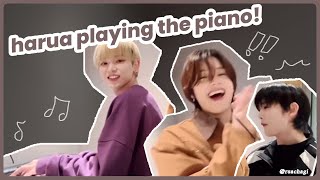 [ENG] harua plays imprinted (sunflower) on the piano!