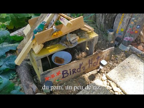 Compréhension Orale En Français Facile (A1/A2) : Les Oiseaux Du Bout Du ...