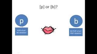 Park and Bark: The Difference Between Voiced and Voiceless Consonants