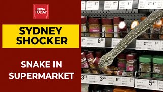 Sydney: Woman Comes Face-To-Face With A Python In Supermarket