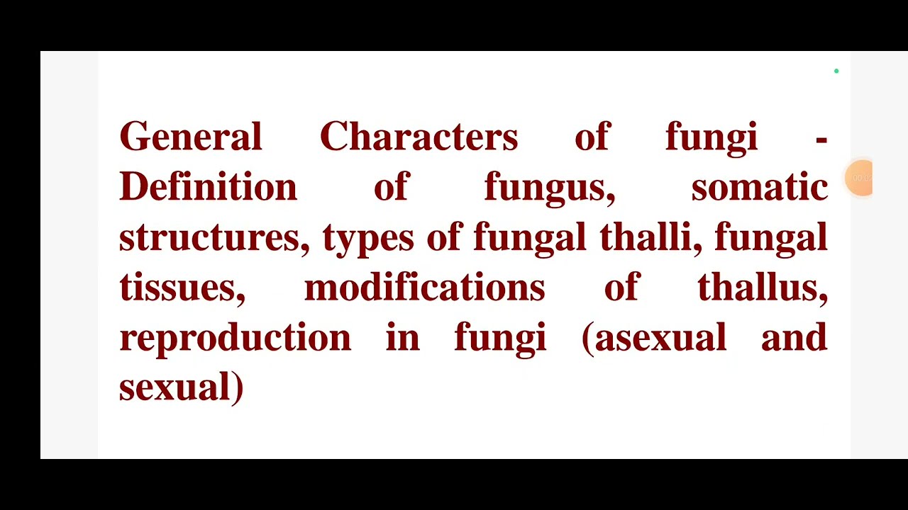 Fungi Definition Types Characteristics Reproduction Fungi