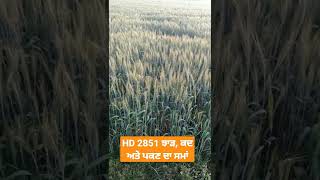 HD 2851 ਬਾਰੇ ਜਾਣਕਾਰੀ