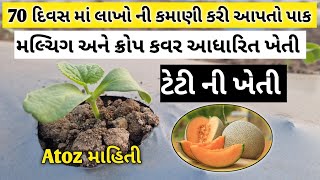 ટેટી ની ખેતી | સક્કર ટેટી ની ખેતી | મલ્ચિગ અને ક્રોપ કવર આધારિત ખેતી | teti ni kheti | Agriculture